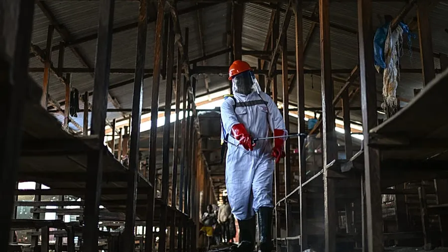 Ebola Outbreak in DR Congo Complicated by Ongoing Conflict, WHO Warns