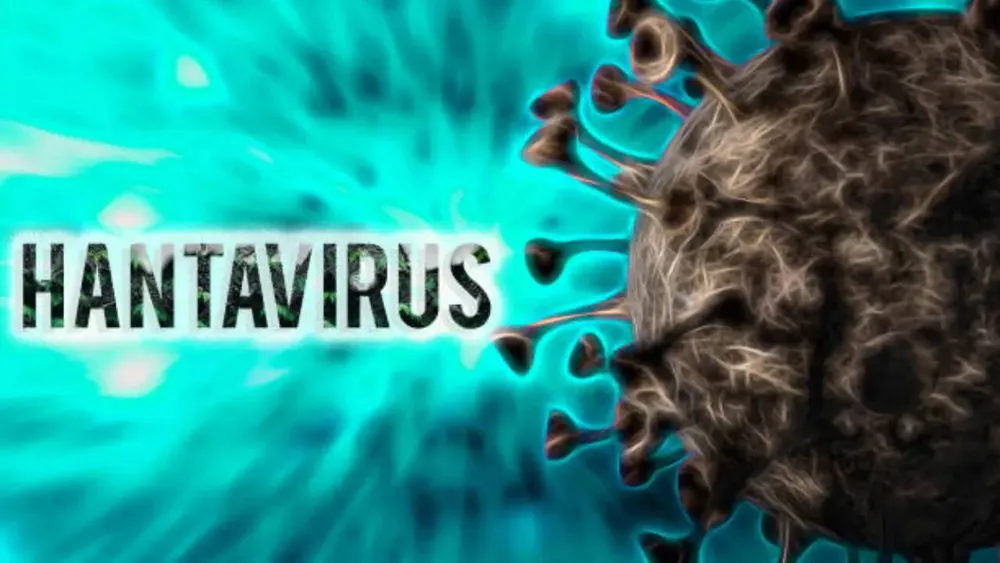 Legal and Health Implications of Hantavirus Outbreak Linked to MV Hondius
