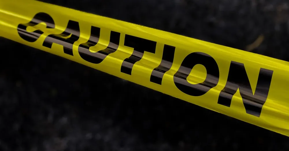 Man arrested for attempted murder after toddler critically injured in zoo crocodile enclosure