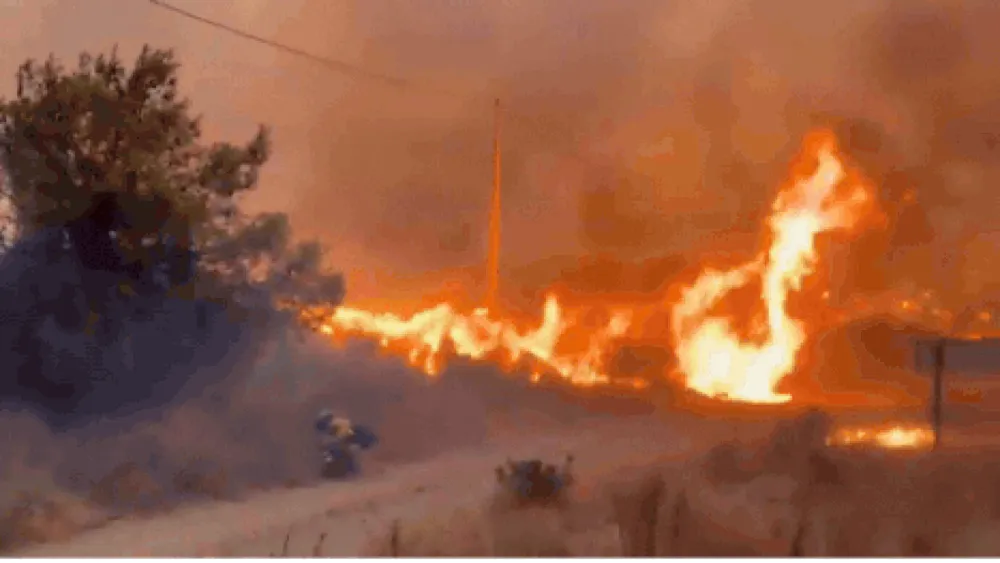 Twelve casualties confirmed in devastating wildfire in southern Spain amid ongoing heatwave