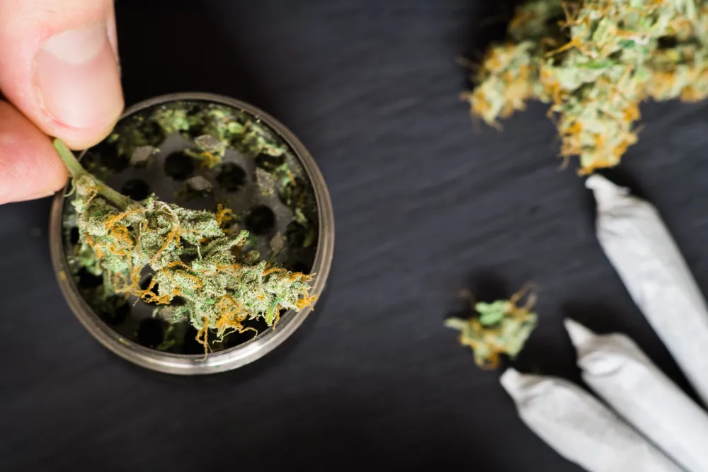 U.S. Justice Department Reclassifies Medical Marijuana as Less Dangerous Drug