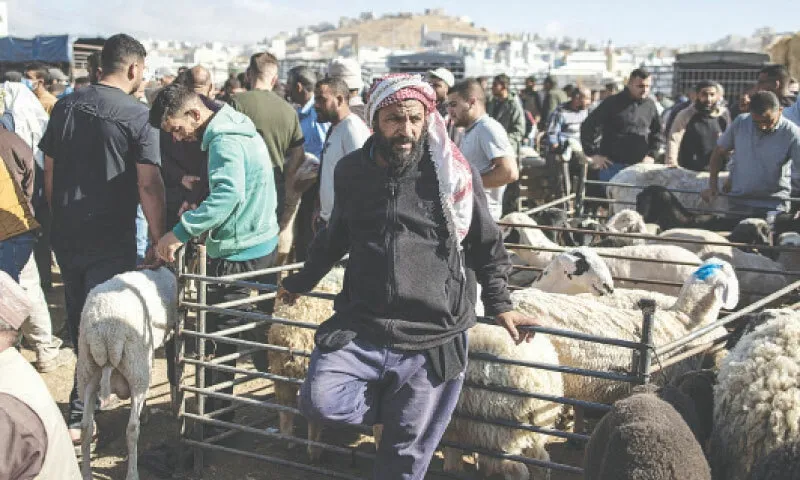 27 killed in Gaza as Israeli forces open fire near aid distribution site