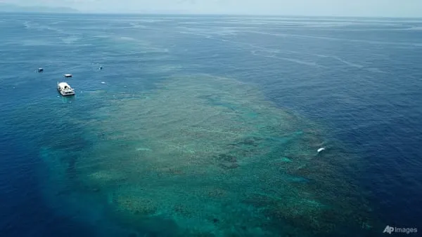 39-year-old man dies after shark attack near Queensland's Great Barrier Reef