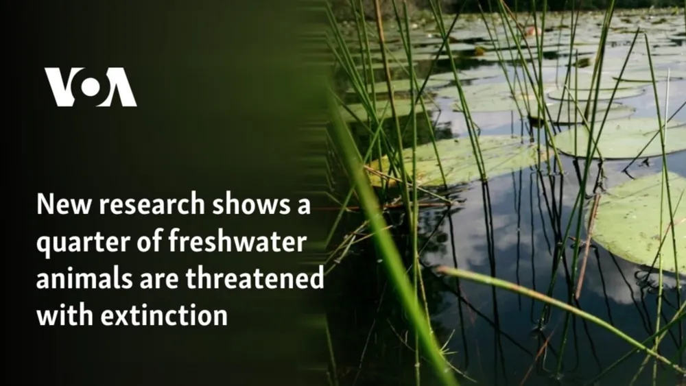 A Quarter of Freshwater Animals at Risk of Extinction, New Study Reveals