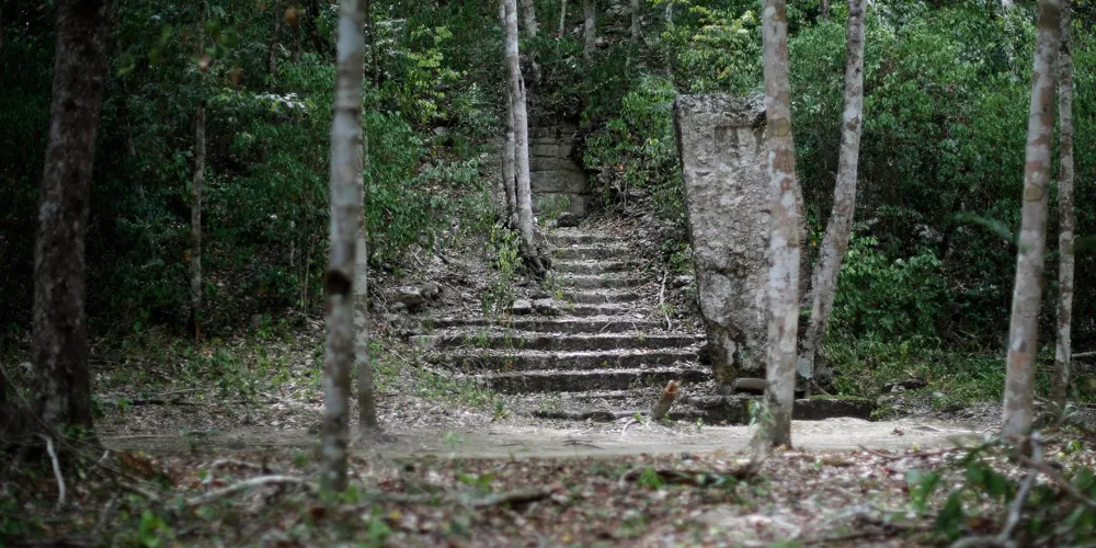 Accidental Discovery: PhD Student Uncovers Lost Mayan City in Mexican Jungle