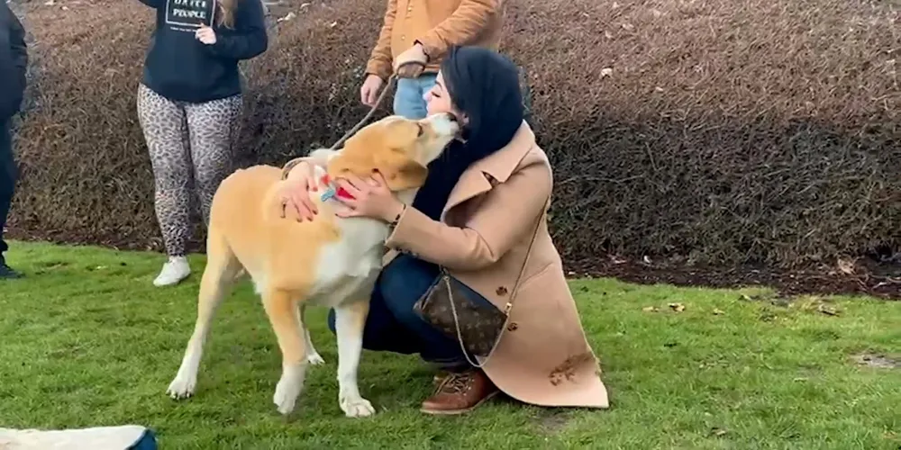 Afghan Refugee Reunites with Dog After Year-Long Separation