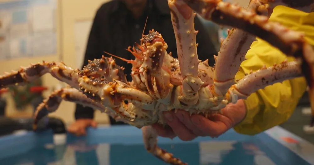 Alaska's Snow Crab Season Reopens After Two-Year Hiatus Amid Industry Challenges