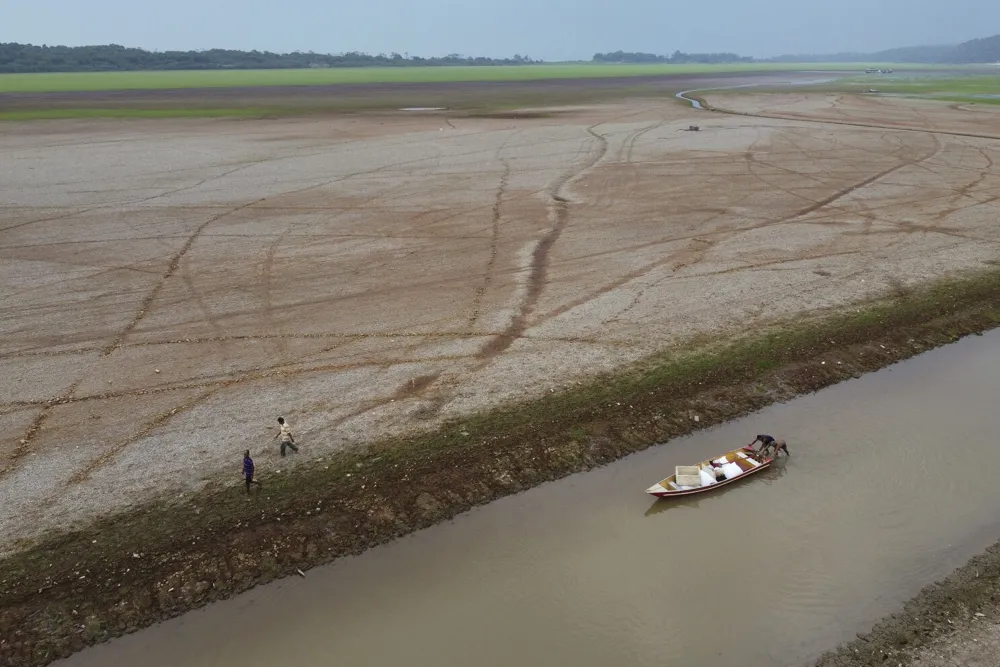 Amazon Rainforest Faces Record Drought and Fires in 2024