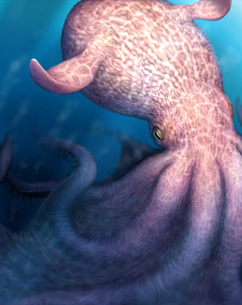 Ancient Kraken-like Octopus Dominated Seas, Fossils Reveal