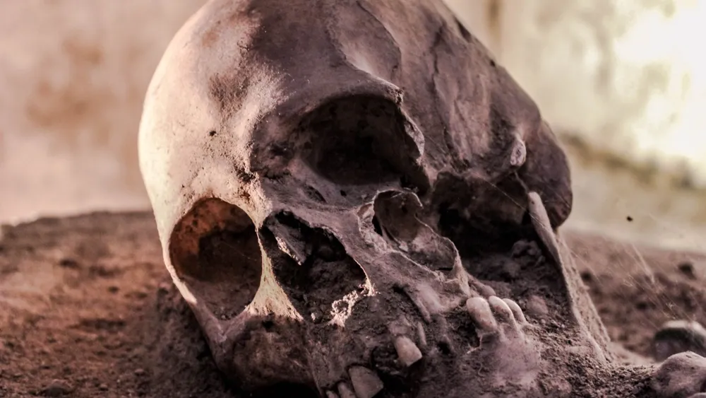 Ancient Skull Cache Unearths Unique Ritual Practices from Prehistoric Italy