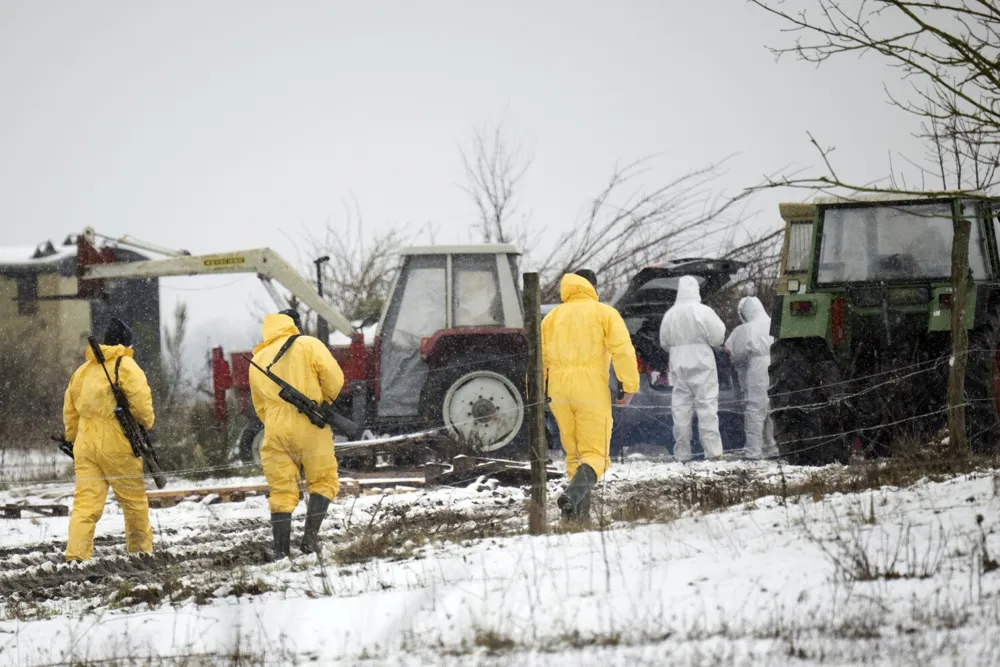 Animal transport prohibition enacted in Brandenburg following foot-and-mouth disease outbreak