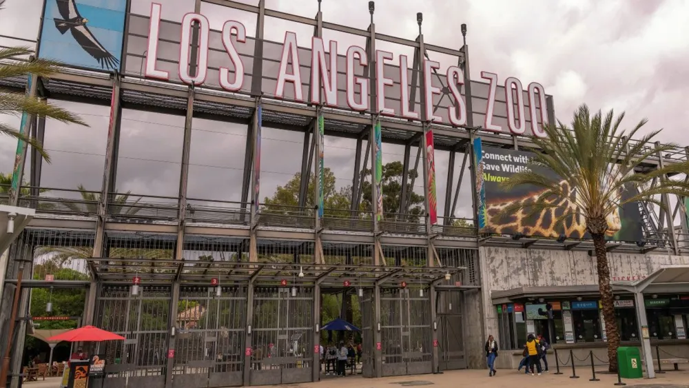 Animals at LA Zoo Safe Despite Ongoing Wildfires