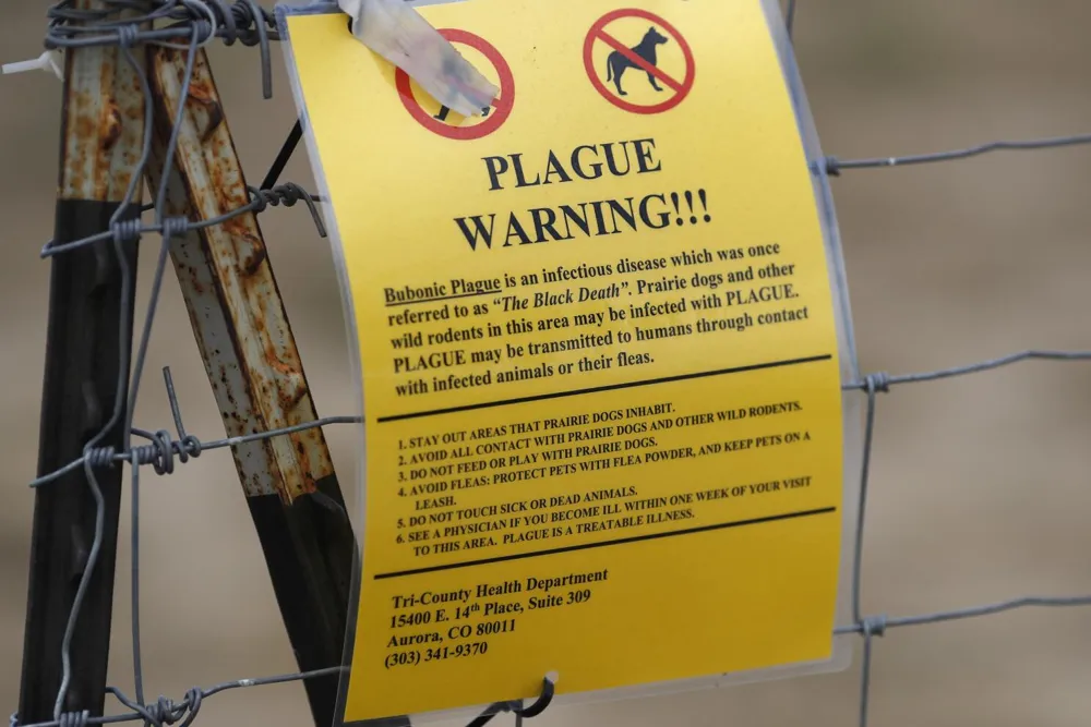 Arizona resident dies from pneumonic plague, marking a rare case