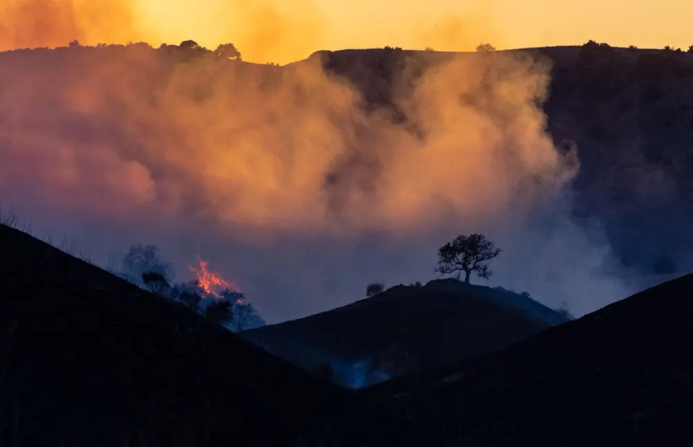 Arson Suspect Arrested Near Kenneth Fire in Woodland Hills, L.A.