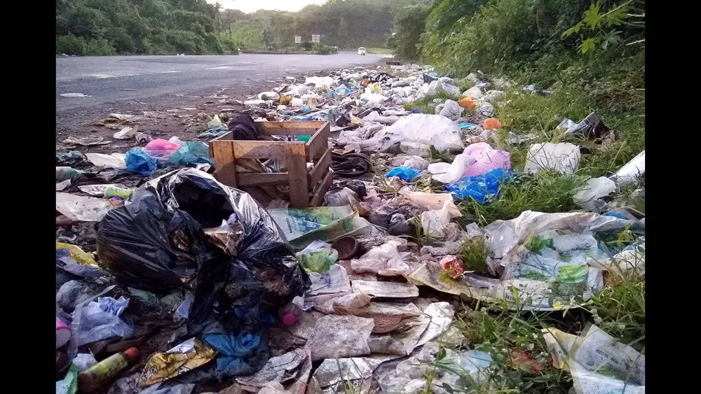 Bastora Panchayat Implements Strict Penalties for Roadside Waste Dumping