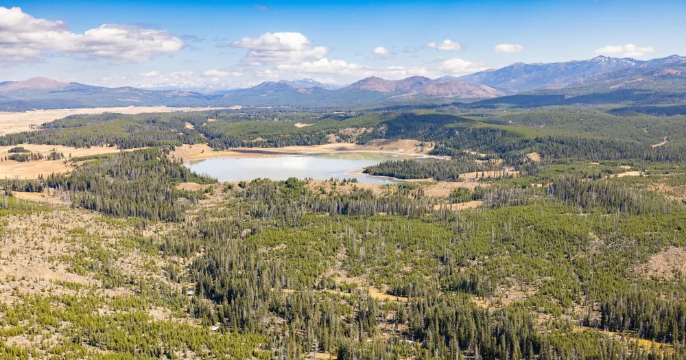 Bear attacks 29-year-old hiker in Yellowstone National Park, marking first incident since 2021