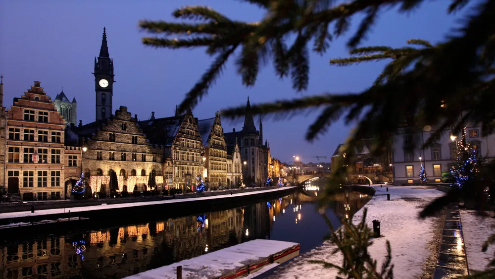 Belgium's Food Agency Warns Against Eating Christmas Trees