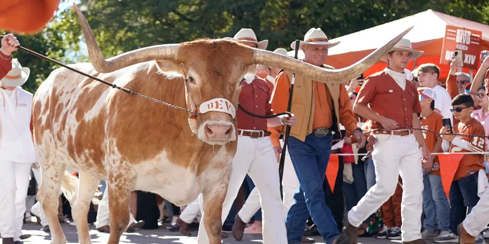 Bevo the Texas Mascot to Make Debut at Cotton Bowl for College Football Playoff Semifinals