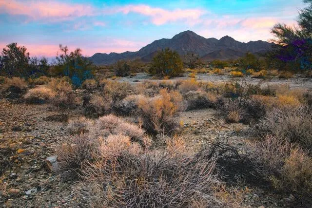 Biden to Announce Two New National Monuments in California Protecting Tribal Land