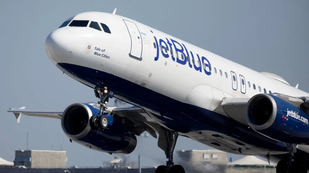 Bodies Discovered in JetBlue Plane's Landing Gear at Florida Airport