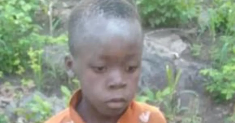 Boy, 7, survives five days lost in Zimbabwe's dangerous Matusadona Game Park