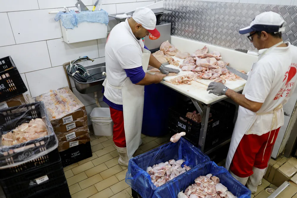 Brazil Faces Widespread Poultry Export Bans Amid Bird Flu Outbreak
