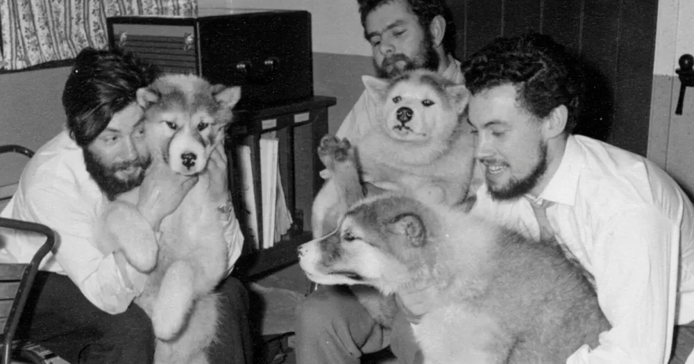 British Researcher Dennis Bell's Remains Found in Antarctic Glacier After 66 Years