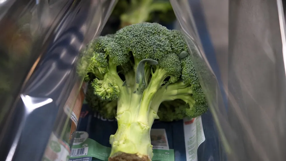 Broccoli Recall Issued in 20 States Due to Listeria Contamination Concern