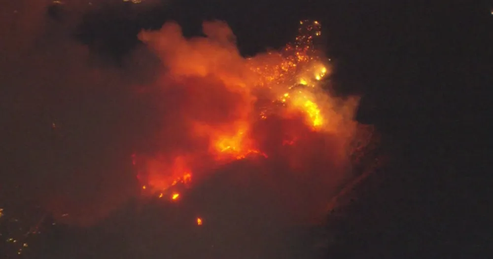 Brush Fire Erupts in Runyon Canyon, Hollywood Hills, Prompting Evacuations