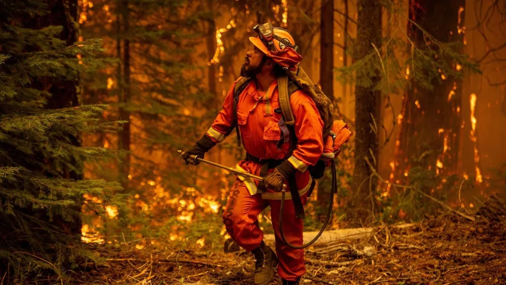 California Inmate Firefighters Mobilized Amid Los Angeles Wildfires