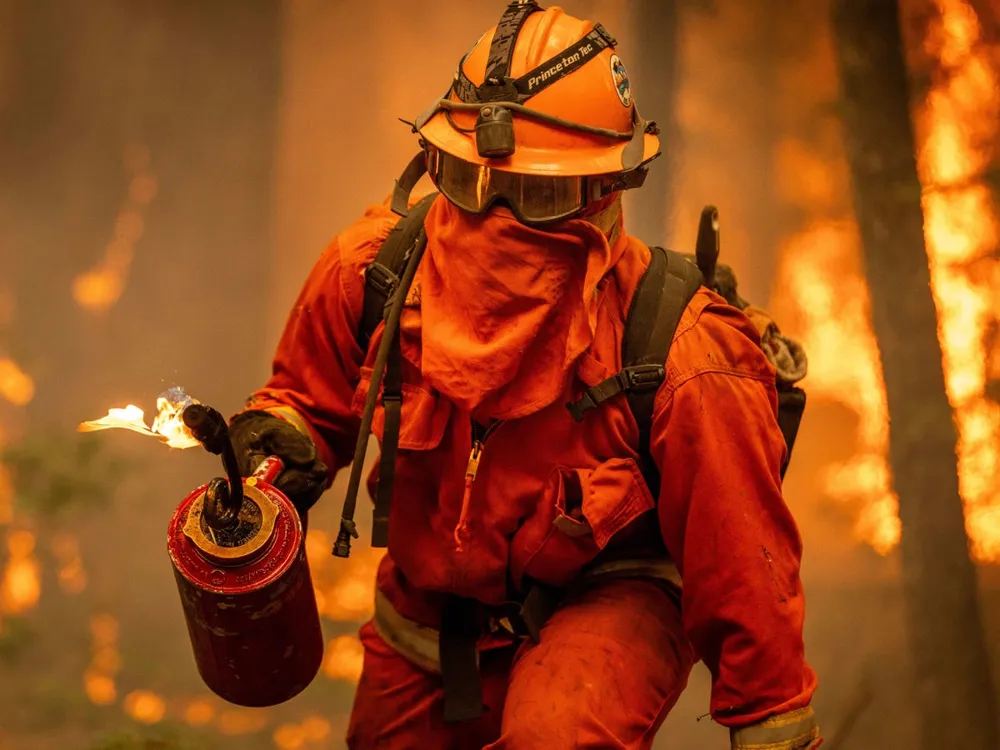 California Inmates Assist in LA Firefighting, Earning Just Over $1 an Hour