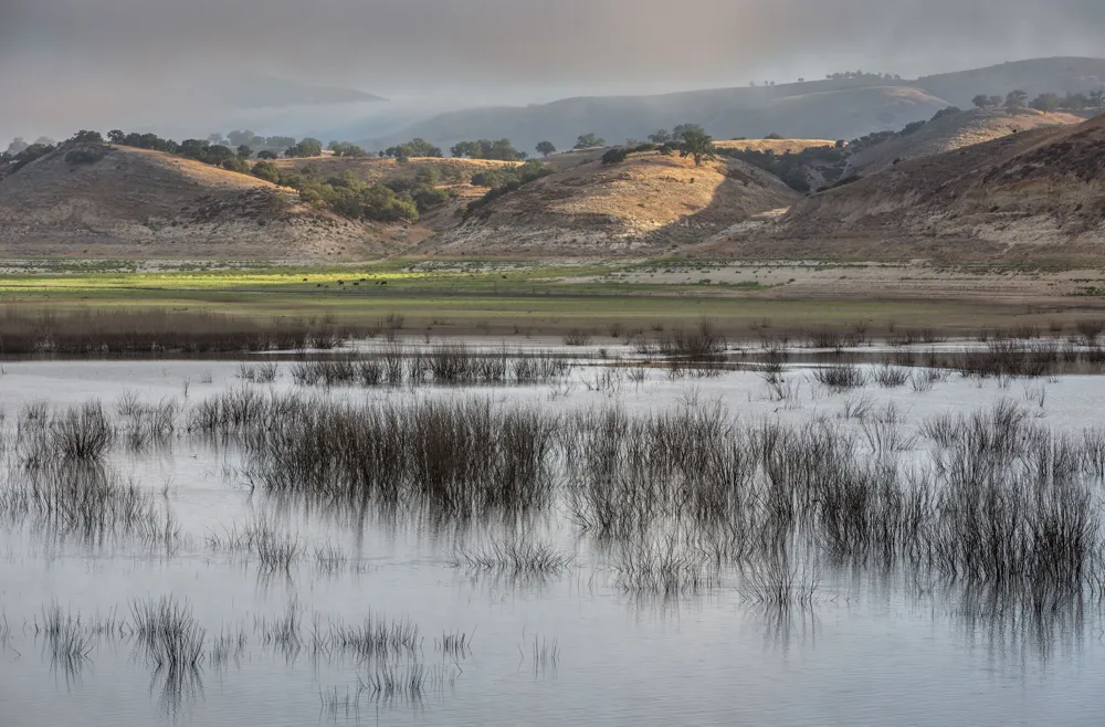 California lake sees resurgence of trout after major fish die-off