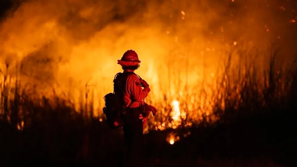 California Wildfires: A State of Emergency Amid Strong Winds and Rising Death Toll