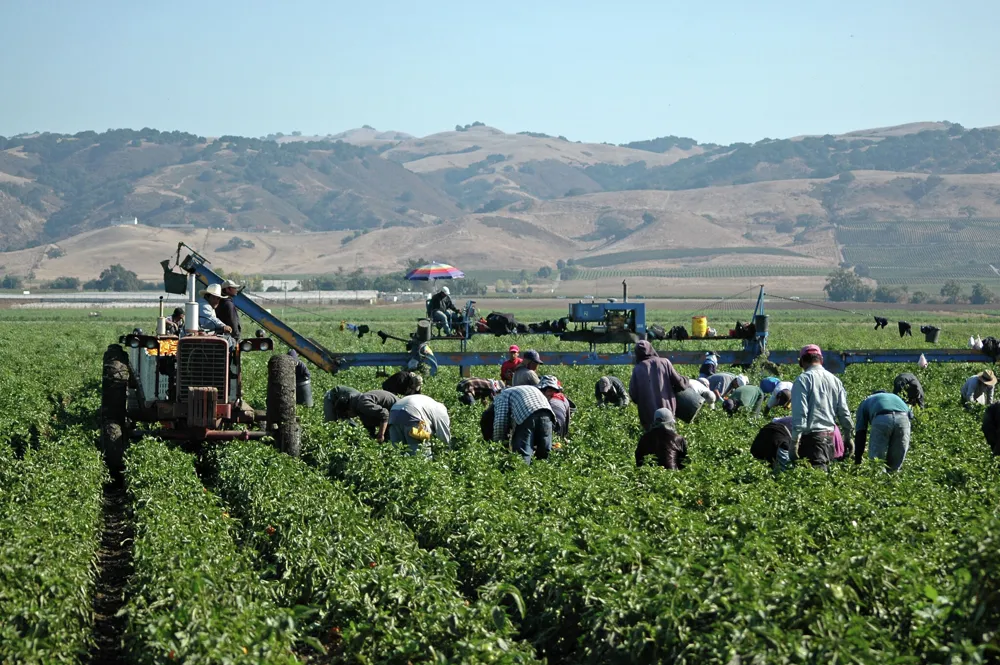 California's paraquat herbicide linked to health issues; banned in 70 countries