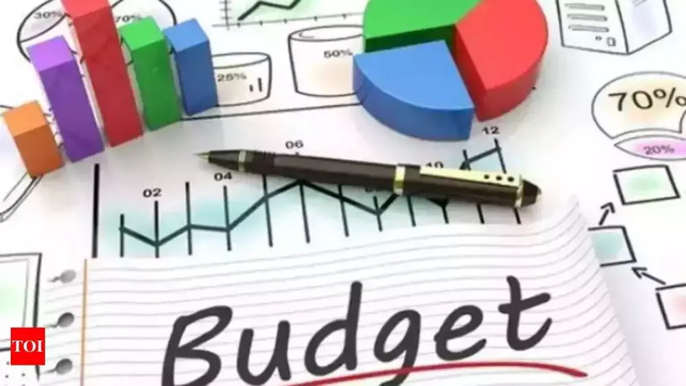 Budget 2025 and Income Tax Filing: Deductions, Proofs, and the Future of Tax Regimes