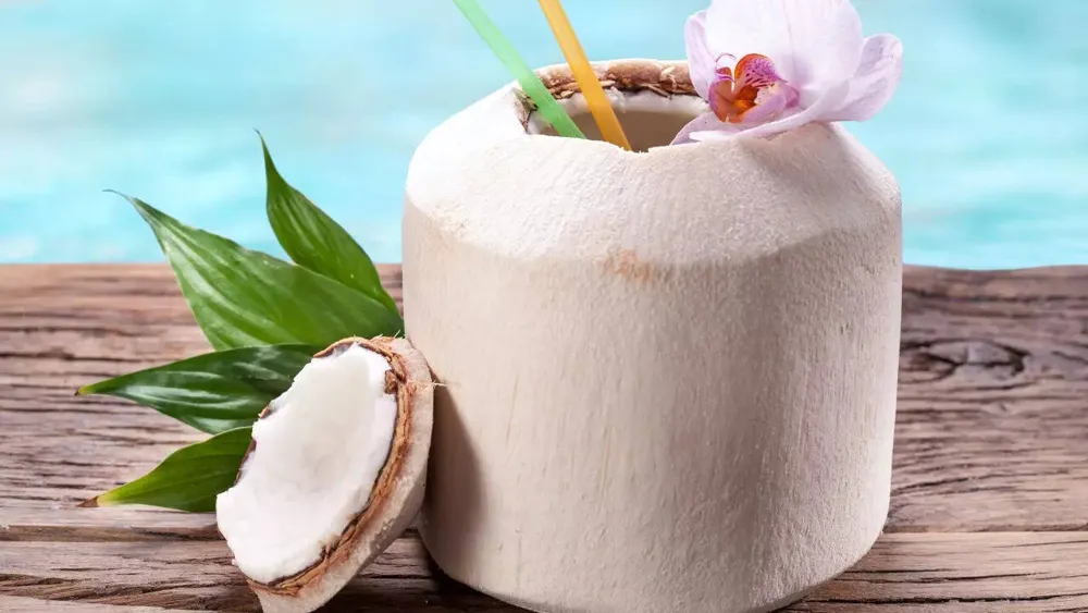 Canned vs. Bottled Coconut Water: Key Differences Explained