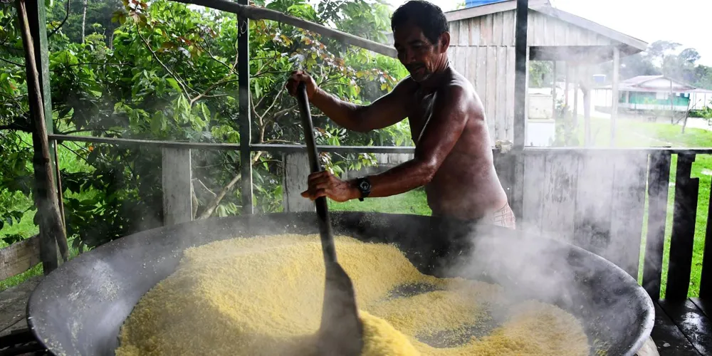 Cassava's UNESCO Heritage Status Offers Hope for Caribbean Communities