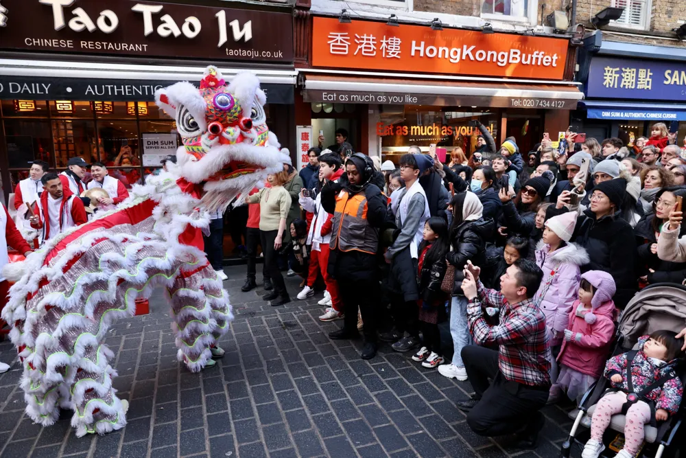 Celebrating Lunar New Year in Devon: A Singaporean Mother's Journey