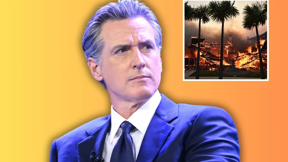 Celebrities Criticize Gavin Newsom Amidst Los Angeles Wildfire Crisis