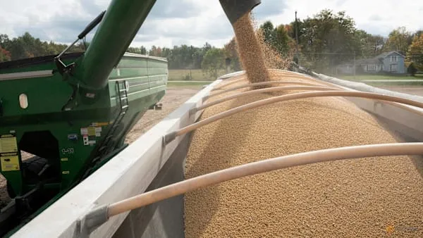 China Halts US Soybean Imports, Turning to South America Amid Trade Tensions