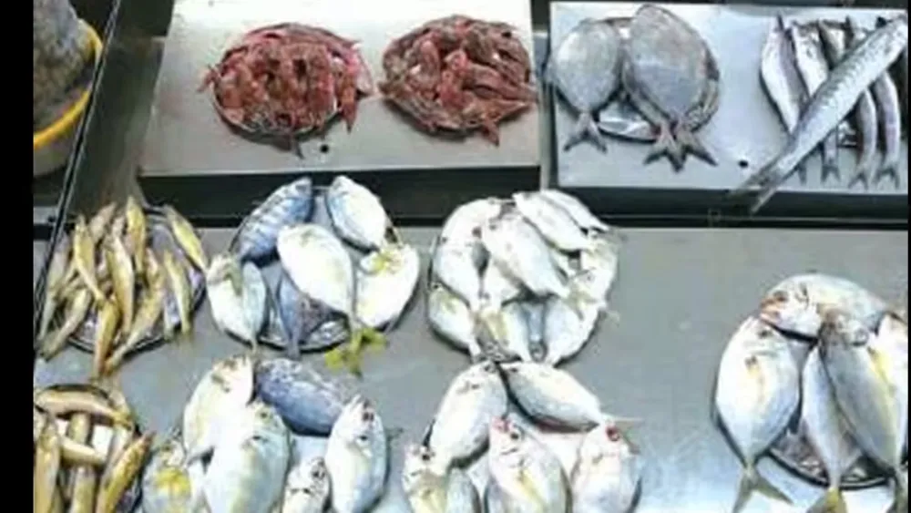 China Partially Lifts Seafood Ban on Japan Amid Ongoing Concerns