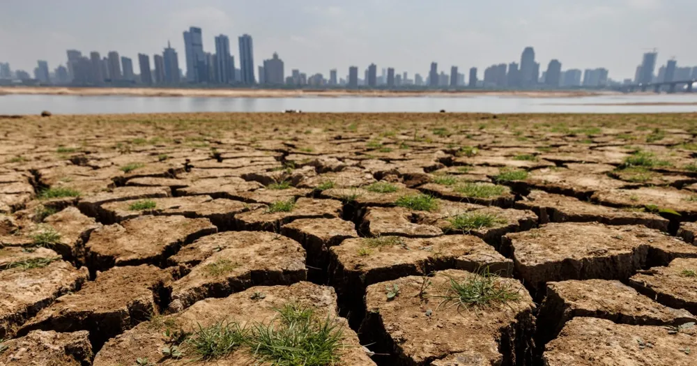 China Records Its Hottest Year in 2024 Amidst Widespread Climate Change Impacts