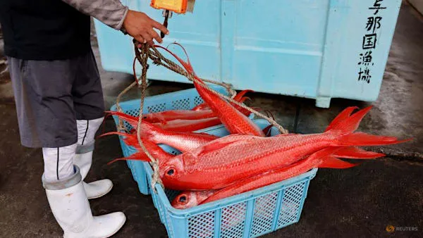 China Suspends Imports of Japanese Seafood Amid Diplomatic Tensions Over Taiwan