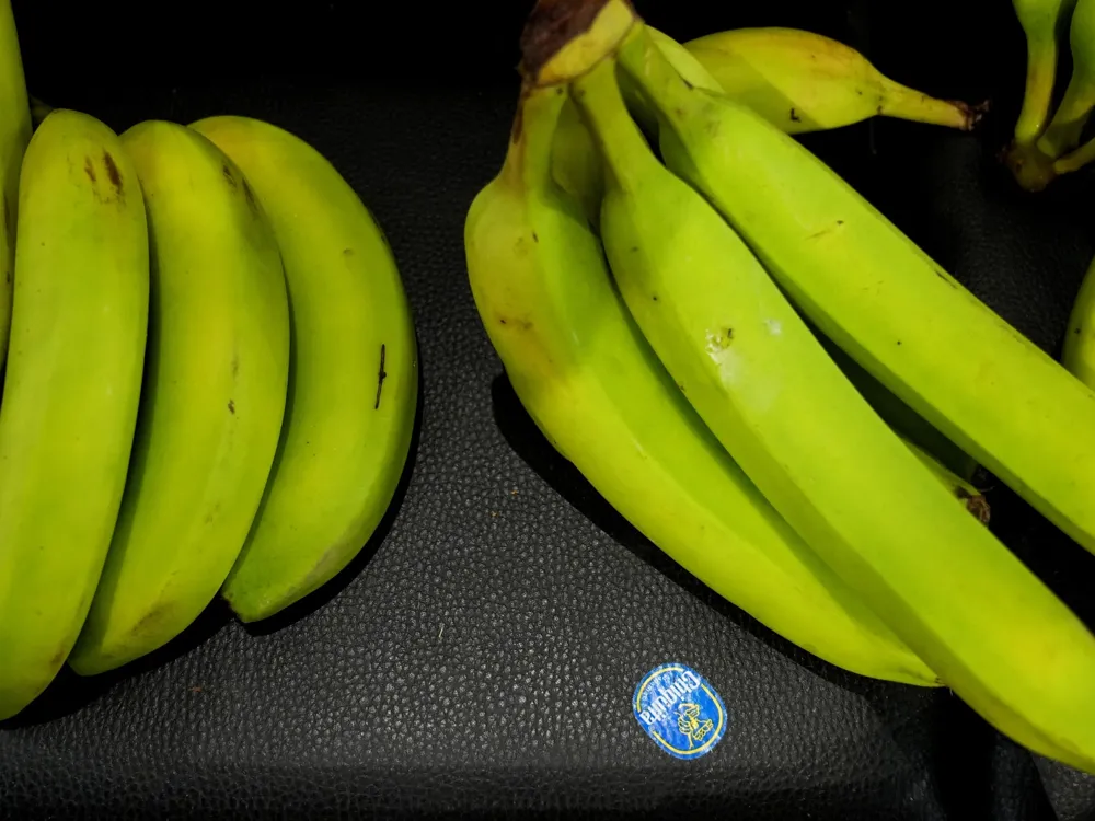 Chiquita lays off thousands of banana workers amid ongoing Panama strike