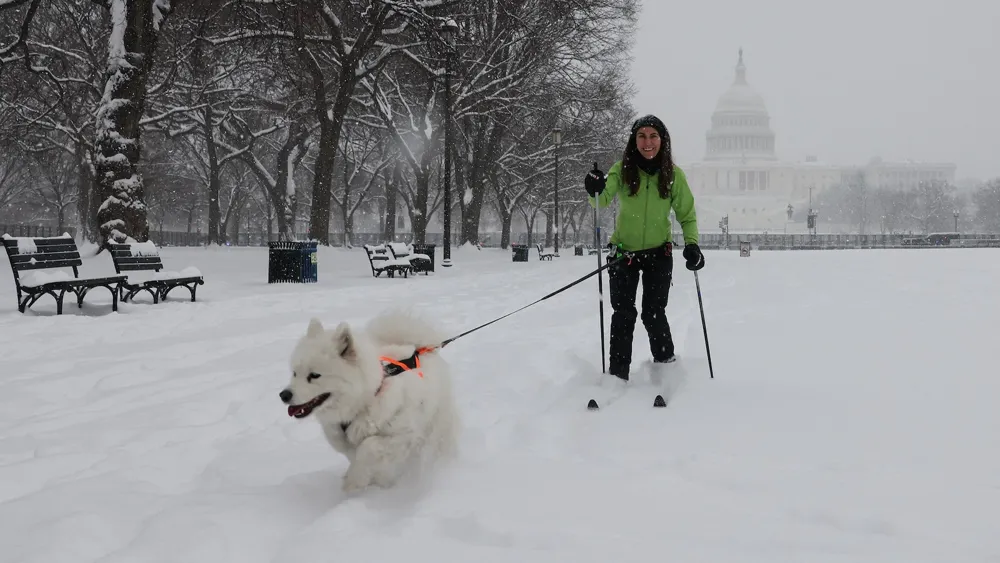 Cold weather and winter storms impact states from New Mexico to Florida