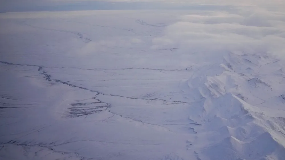 Companies opt out of drilling in Alaska wildlife refuge