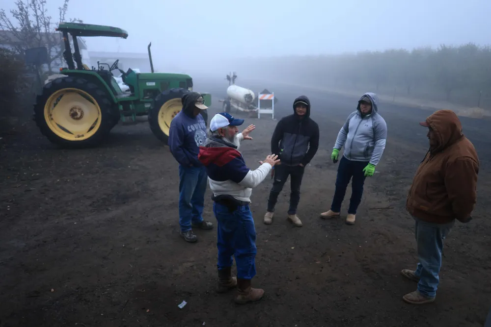 Concerns Among US Farmers Over Trump's Deportation Policies Impacting Workforce