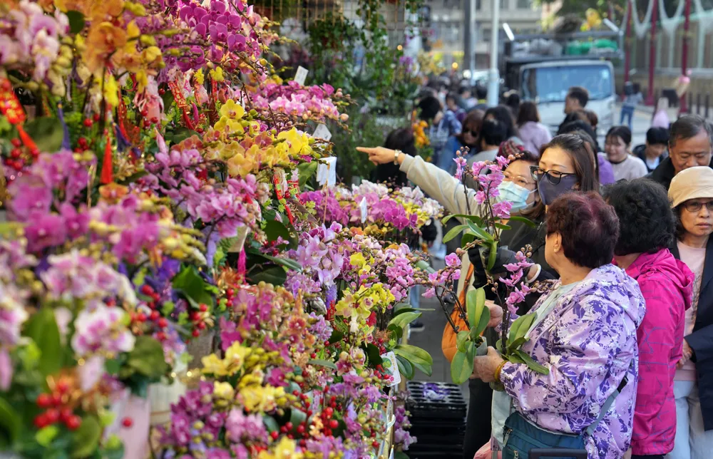 Concerns Grow Over Redevelopment Plans for Iconic Hong Kong Flower Market