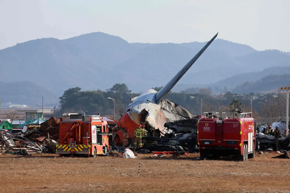 Concerns Rise Over Bird Control Staffing at Muan Airport After Jeju Air Crash