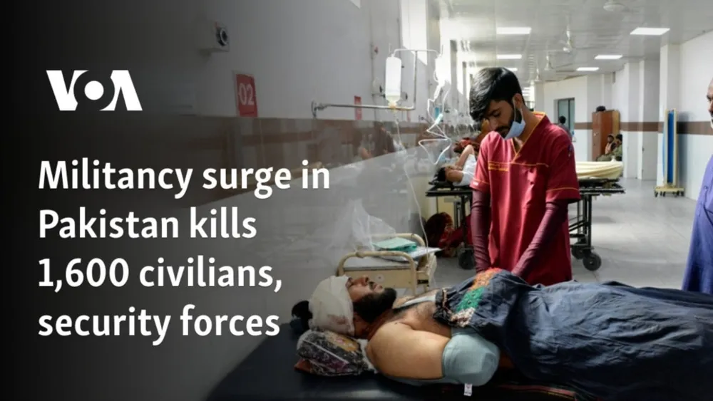 Deadly spike in militancy claims over 1,600 lives in Pakistan in 2024